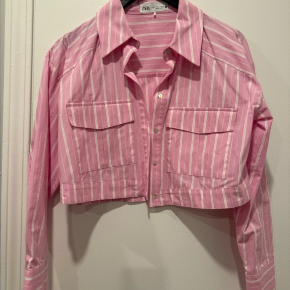Zara Pink and White Striped Blazer
